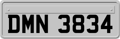 DMN3834