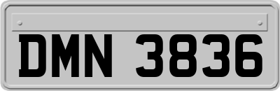 DMN3836
