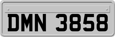 DMN3858