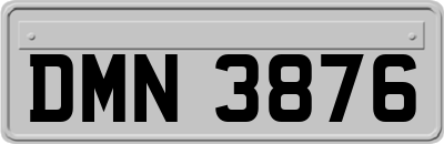 DMN3876
