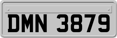 DMN3879