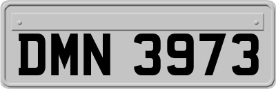 DMN3973