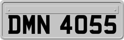 DMN4055