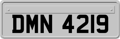 DMN4219