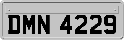 DMN4229