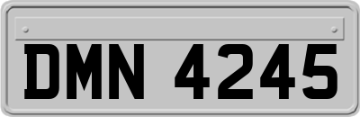 DMN4245