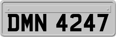 DMN4247