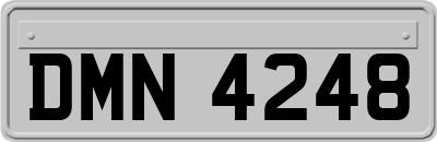 DMN4248