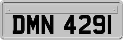 DMN4291