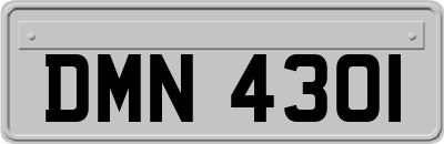 DMN4301