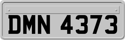 DMN4373