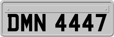 DMN4447