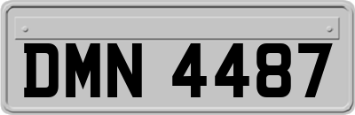 DMN4487