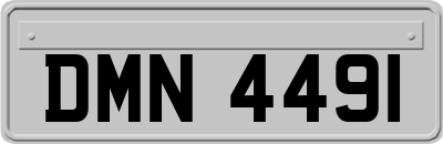 DMN4491
