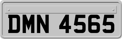 DMN4565