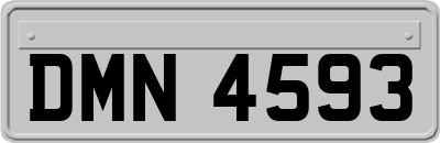 DMN4593