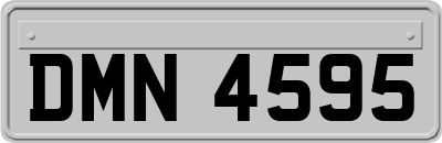 DMN4595