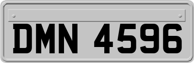DMN4596