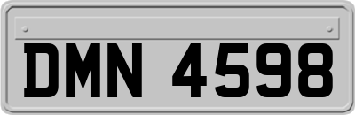 DMN4598