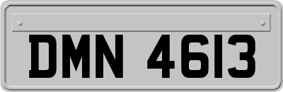 DMN4613