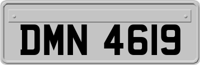 DMN4619
