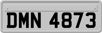 DMN4873