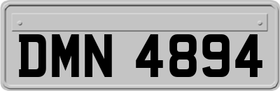 DMN4894