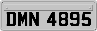 DMN4895