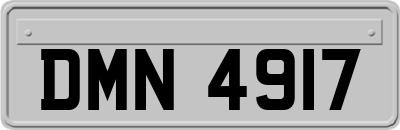 DMN4917