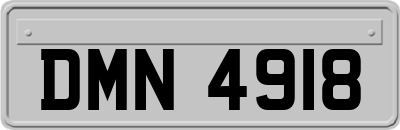 DMN4918