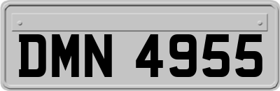 DMN4955