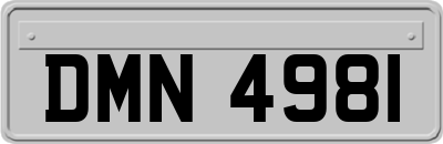 DMN4981