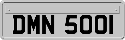 DMN5001