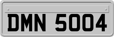 DMN5004