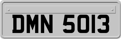 DMN5013
