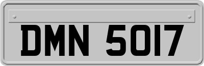 DMN5017