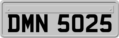 DMN5025