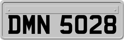 DMN5028