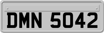 DMN5042