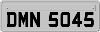 DMN5045