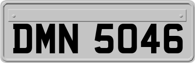 DMN5046