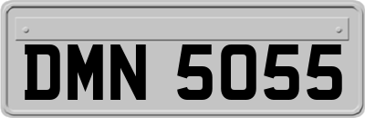 DMN5055