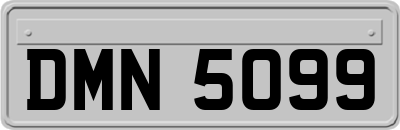 DMN5099