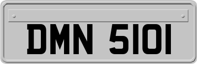 DMN5101