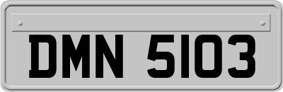 DMN5103