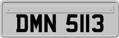 DMN5113