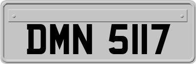 DMN5117