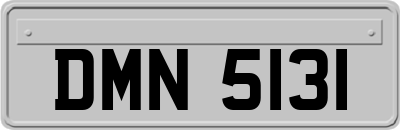 DMN5131