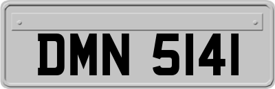DMN5141