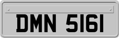 DMN5161